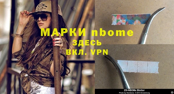 стаф Михайлов