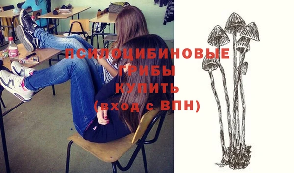 стаф Михайлов