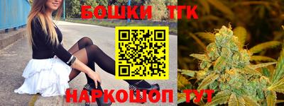 гашик Донской