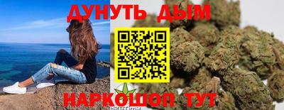 скорость Дубна