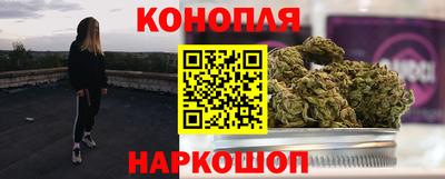 гашик Донской