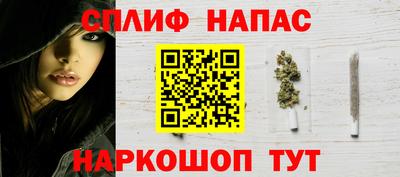 скорость Дубна
