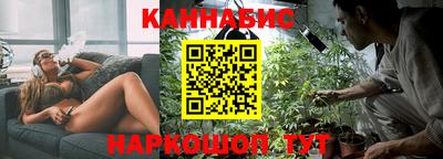 гашик Донской