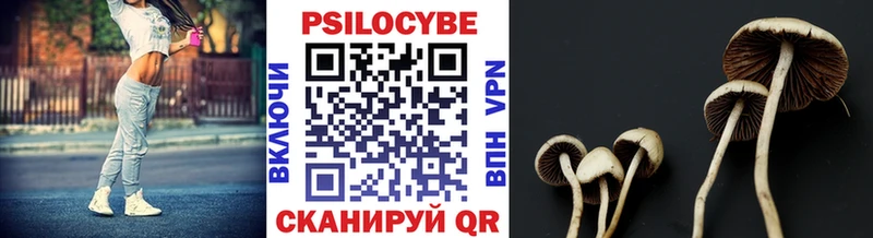 Псилоцибиновые грибы Magic Shrooms  Лиски 
