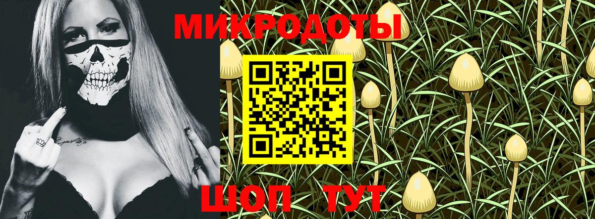 купить наркотик  Вход с VPN  Лиски  Галлюциногенные грибы MAGIC MUSHROOMS  Псилоцибиновые грибы прущие грибы 